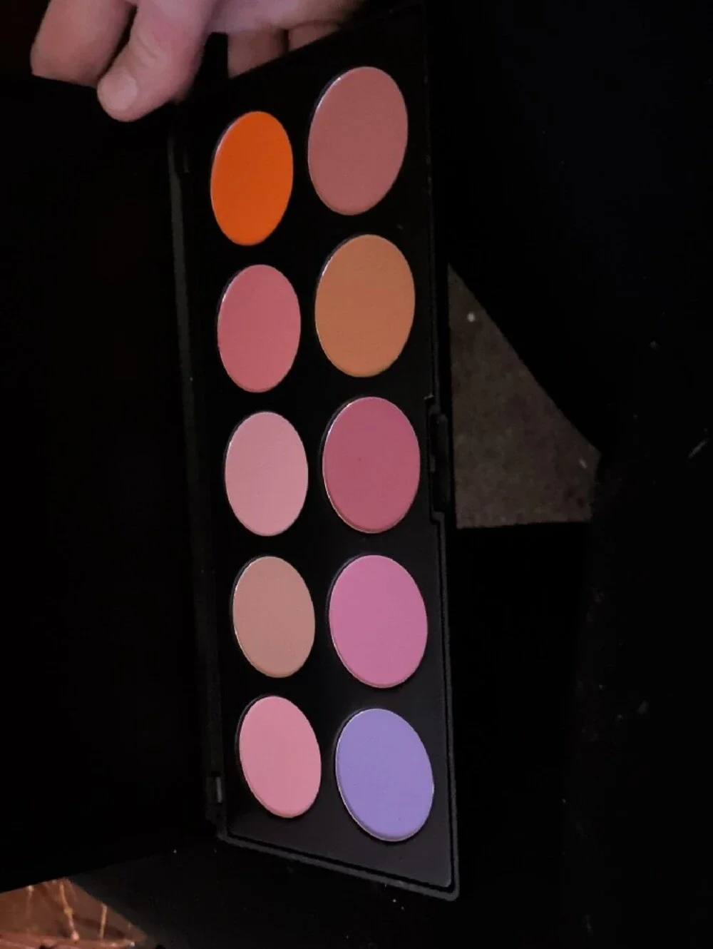 Blush Too Palette by Blush — Pink & Peach Blush Set